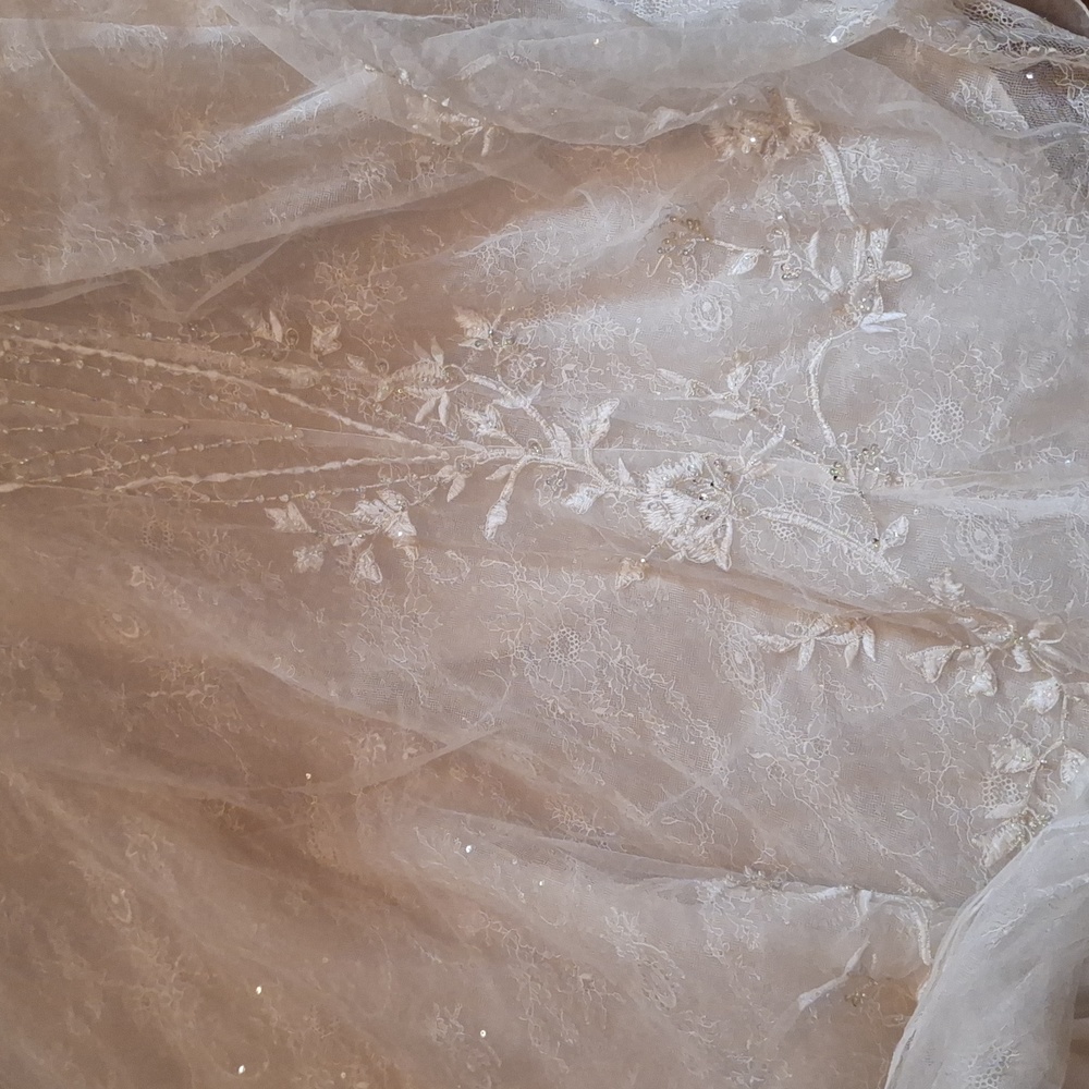 She's the Grand-Dom of all the wedding gowns. SIZE 12, # OJ1762 - Picture 9 of 14